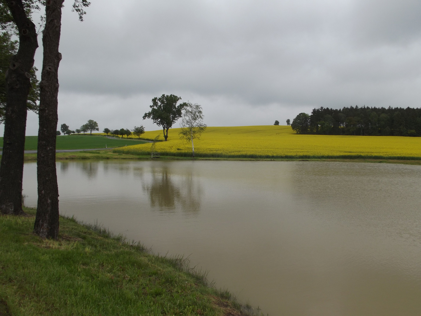 Spiegelungen im Wasser