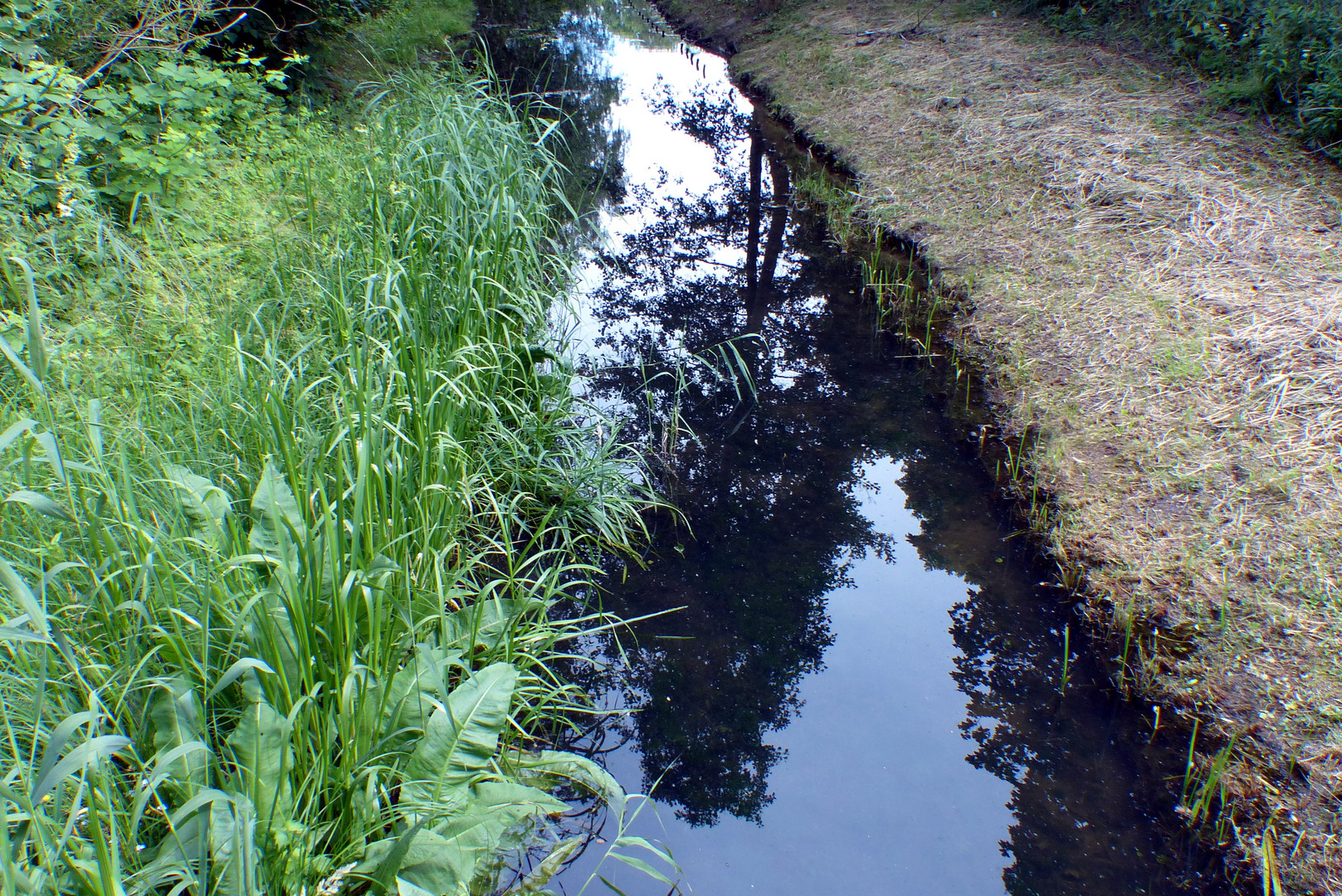 Spiegelungen im Wasser