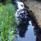 Spiegelungen im Wasser