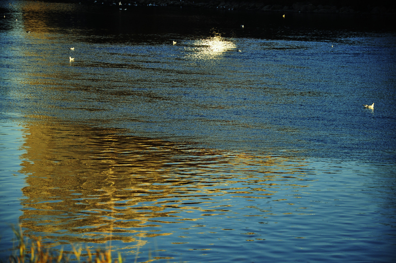 ...Spiegelungen  im Wasser...