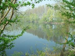 Spiegelungen im Wasser