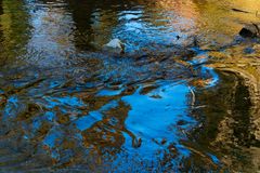 Spiegelungen im Wasser