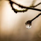 Spiegelungen im Wassertropfen