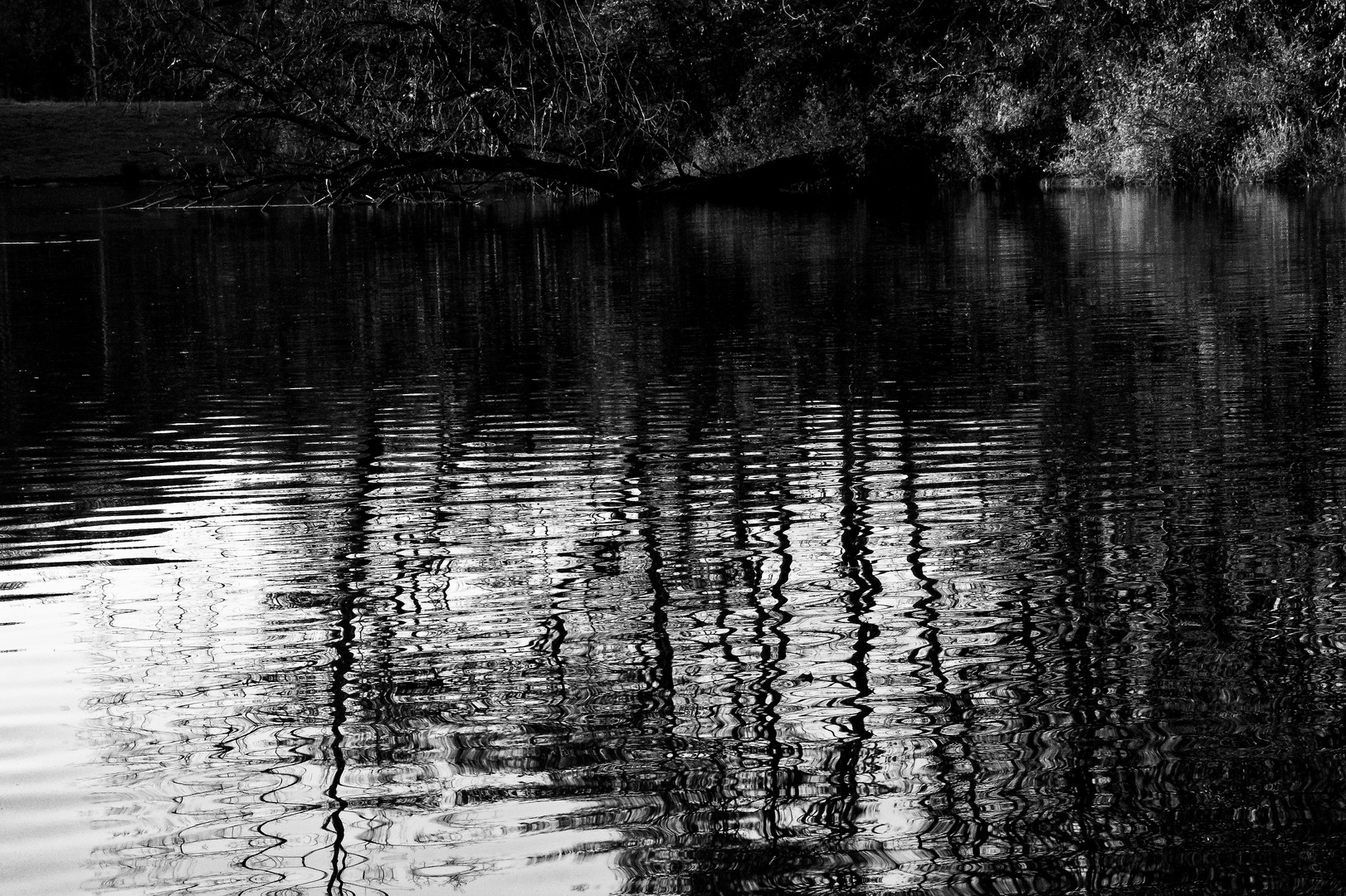 Spiegelungen im Weiher