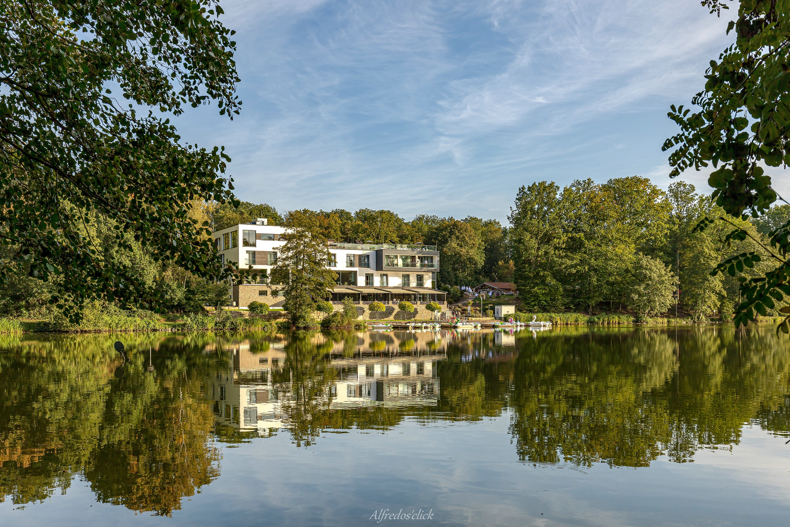 Spiegelungen im Weiher.