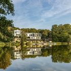 Spiegelungen im Weiher.