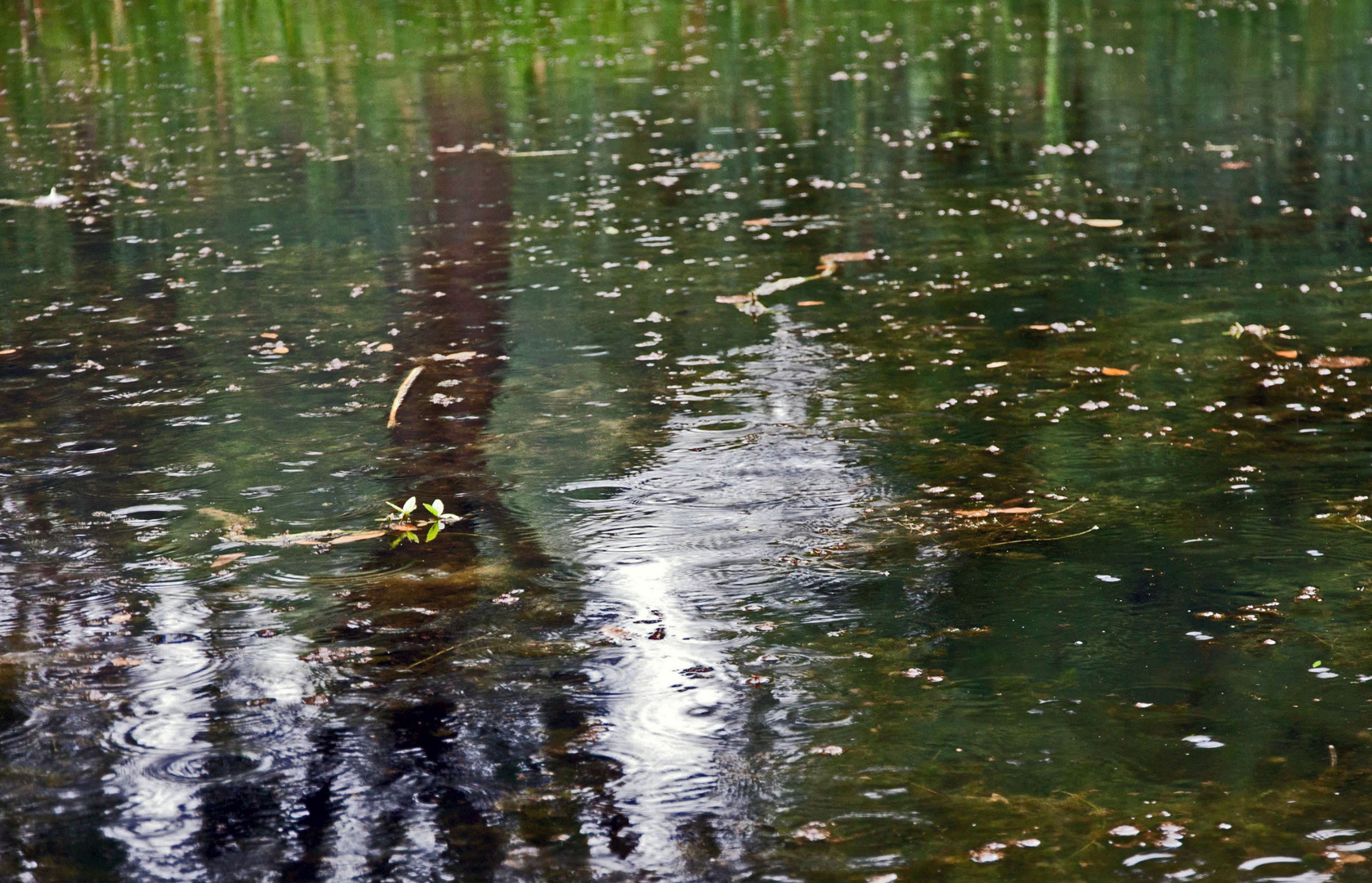 Spiegelungen im Weiher