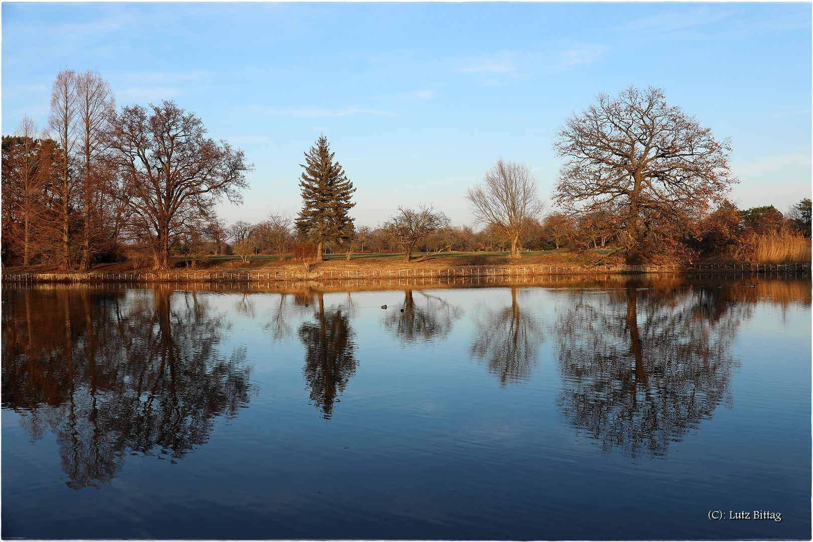 Spiegelungen im Wörlitzer See