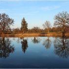 Spiegelungen im Wörlitzer See