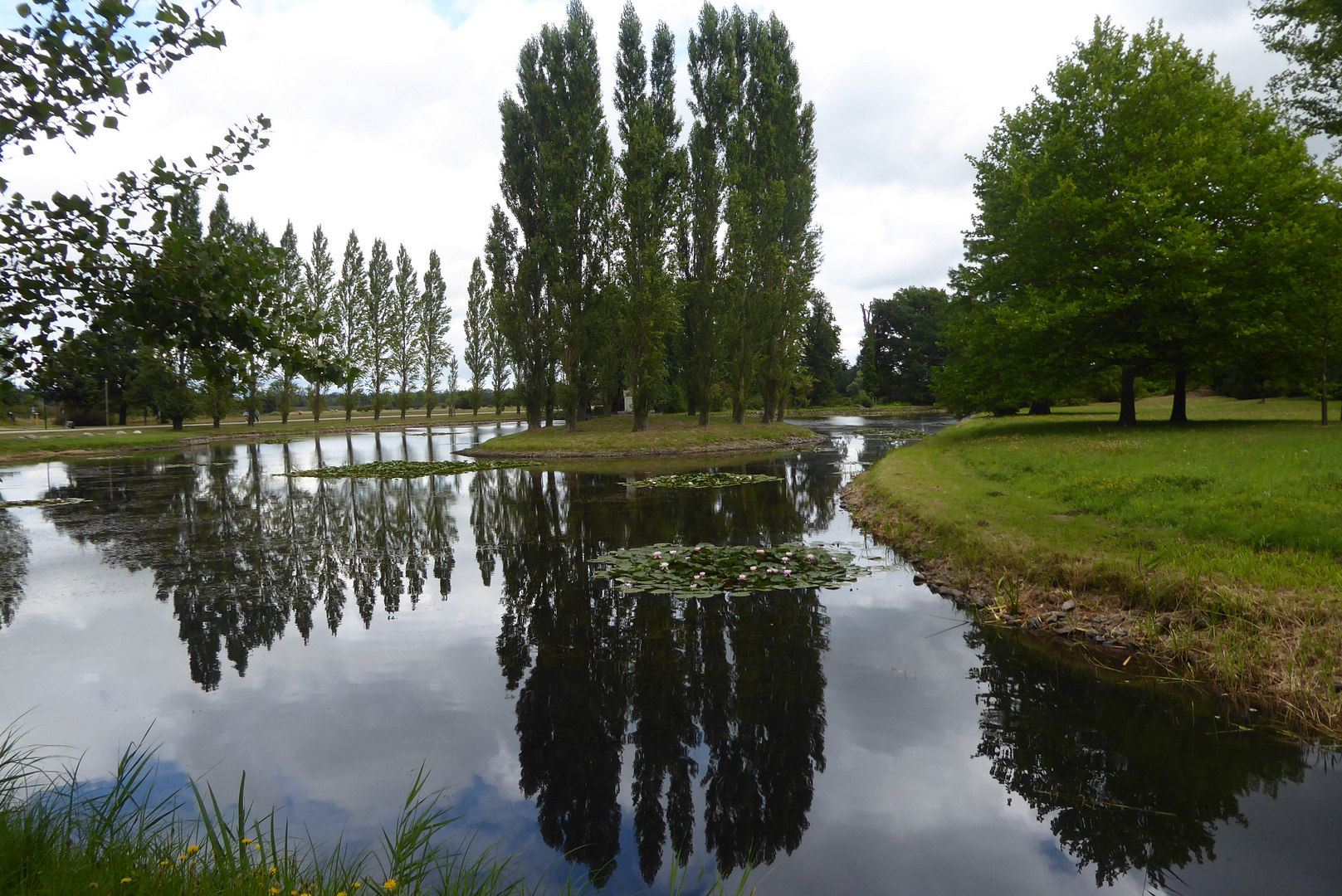 Spiegelungen in den Teichen von Wörlitz Foto & Bild landschaft