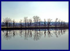 Spiegelungen in der Aare