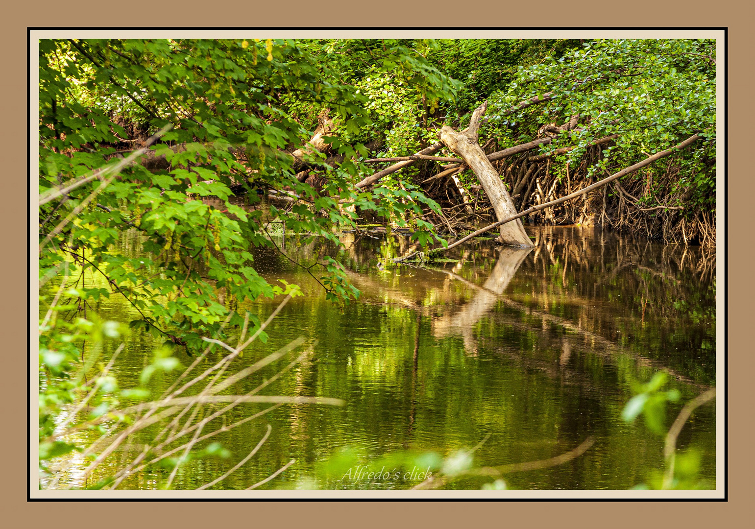 Spiegelungen in der Blies