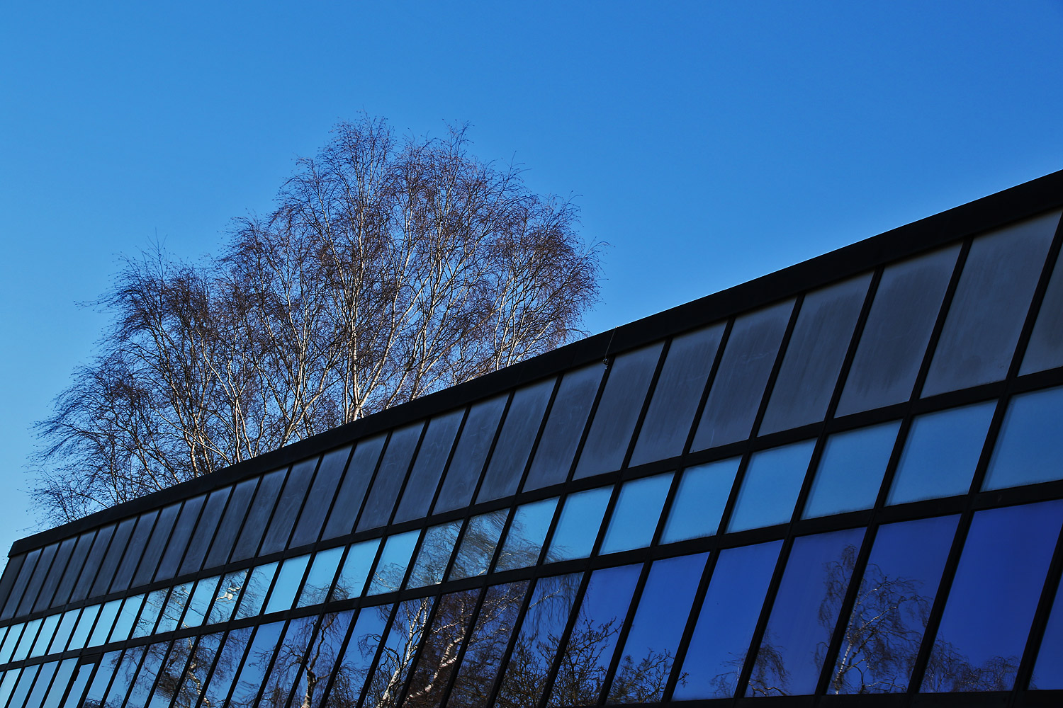 Spiegelungen in der Fassade