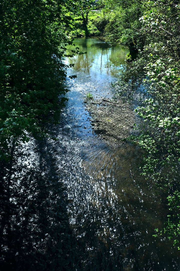 Spiegelungen in der Isen