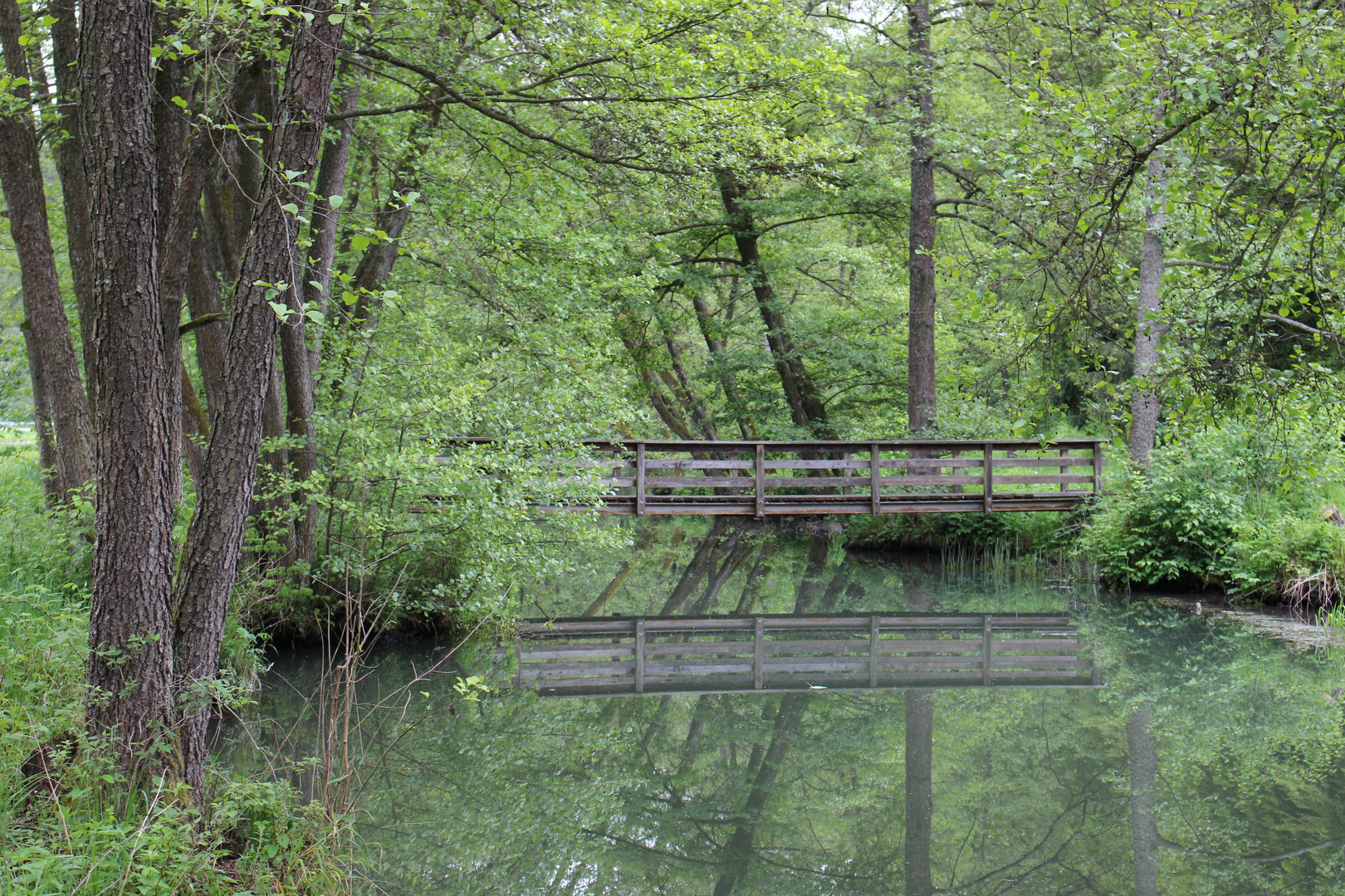 Spiegelungen in der Laaber