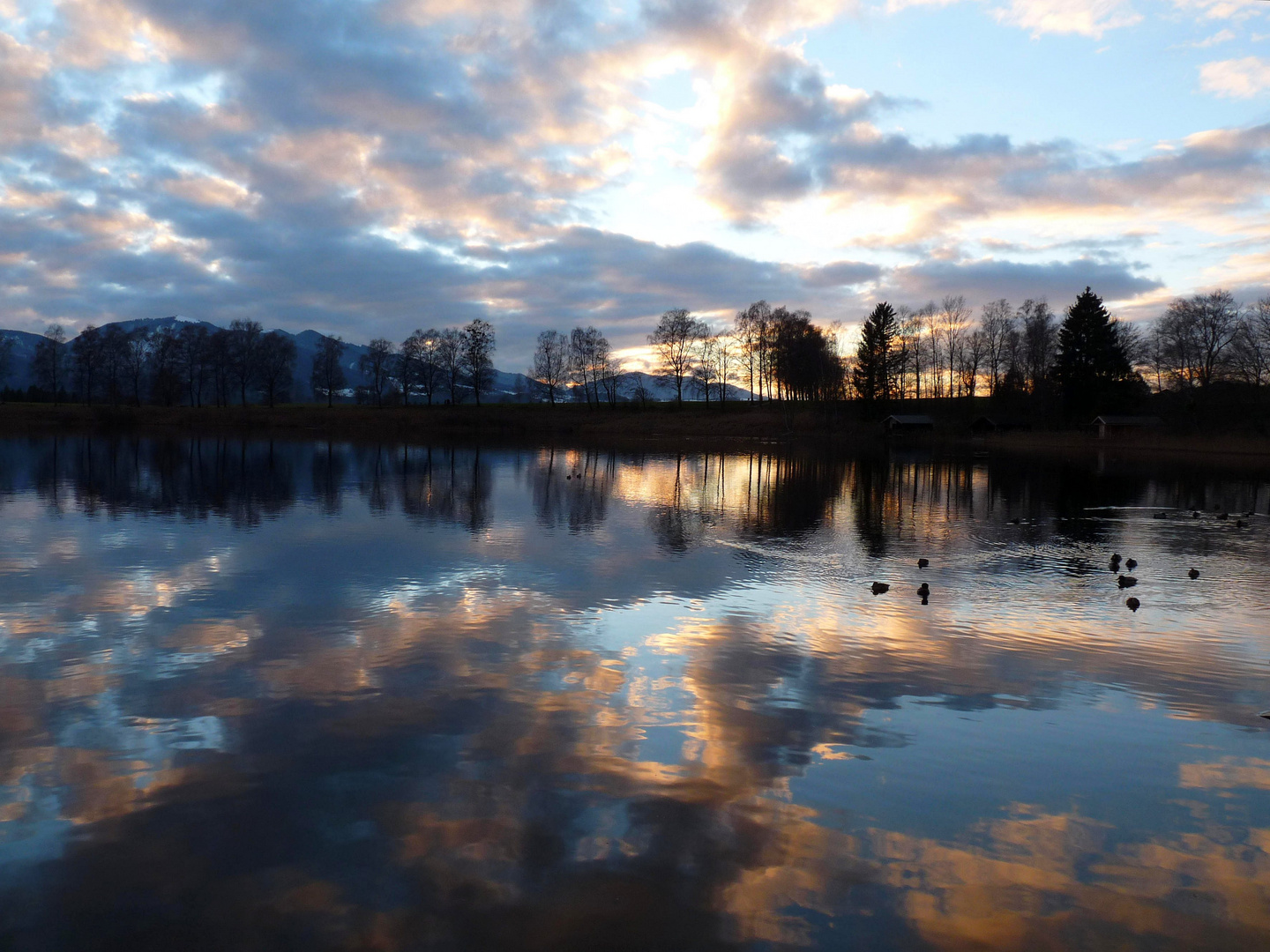 spiegelungen in rosa