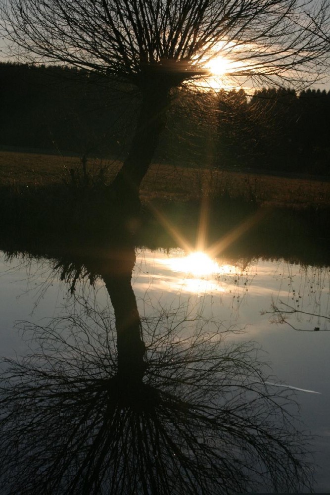 Spiegelungen mit Wintersonne