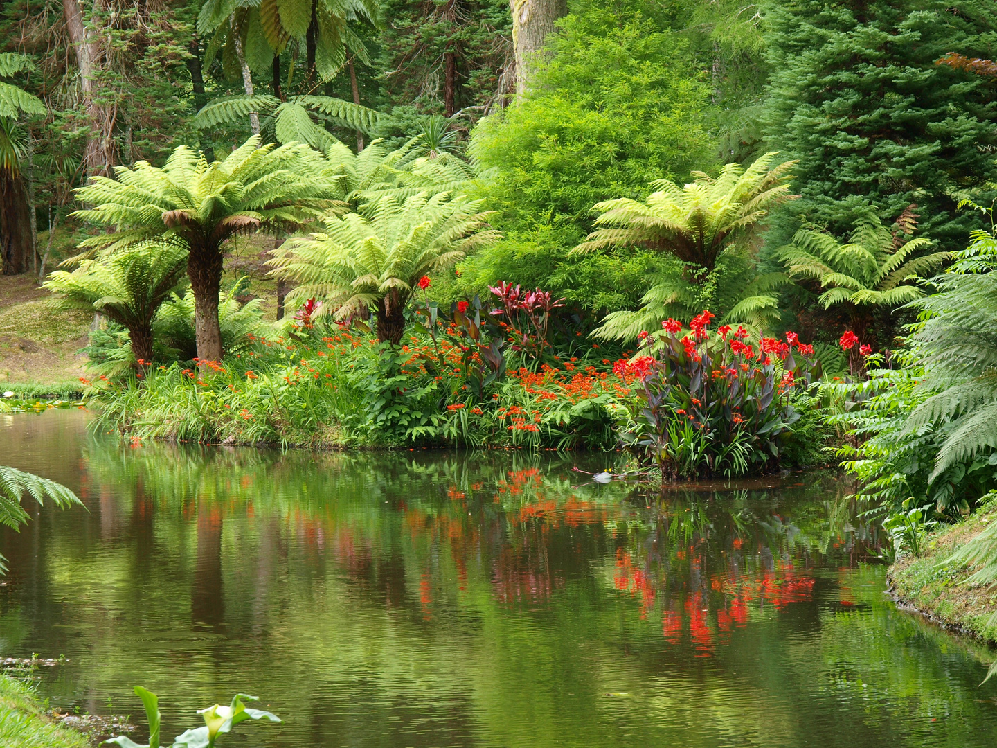 Spiegelungen, Parque Florestal Furnas Sao Miguel