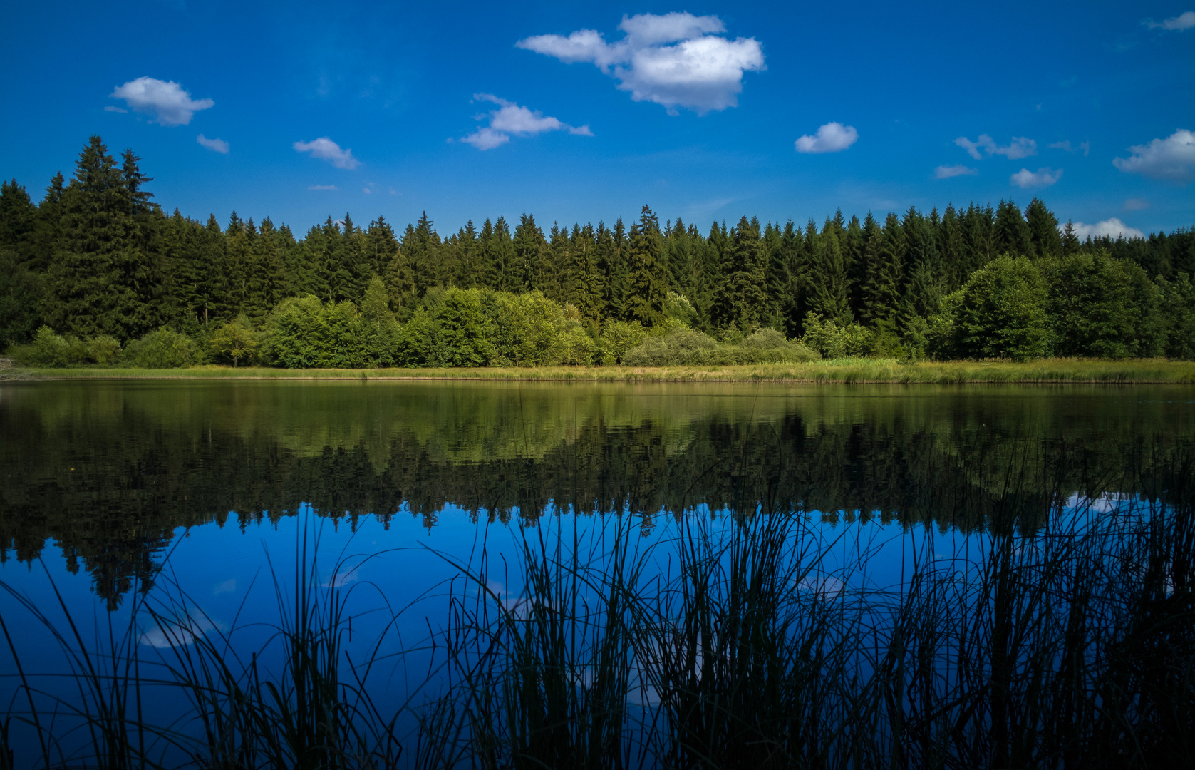 spiegelungen - reflections