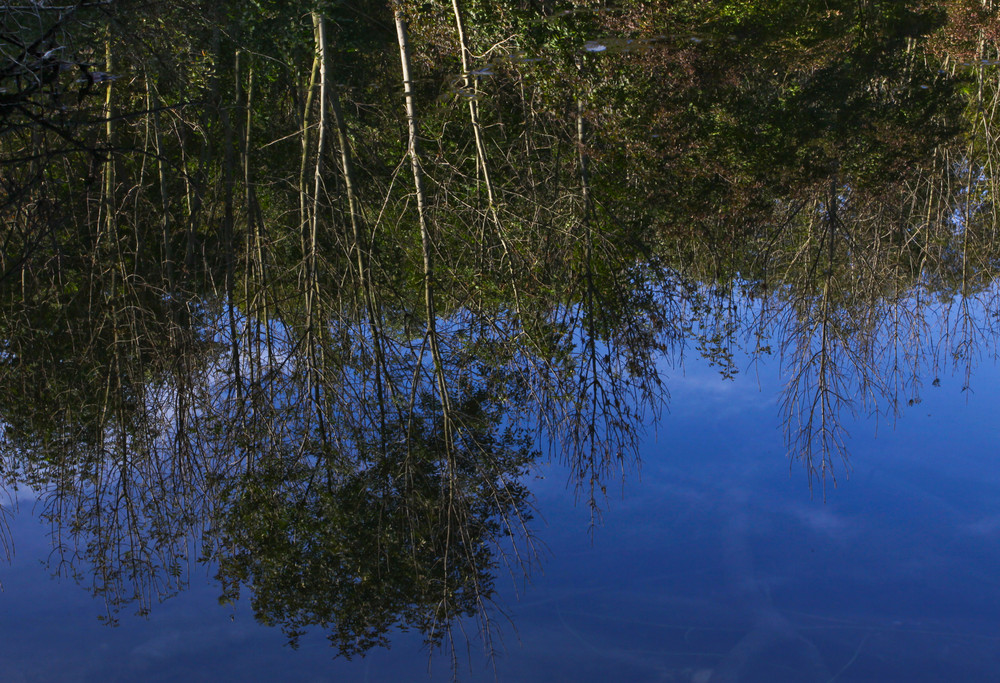 spiegelverkehrt