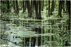Spiegelversteck