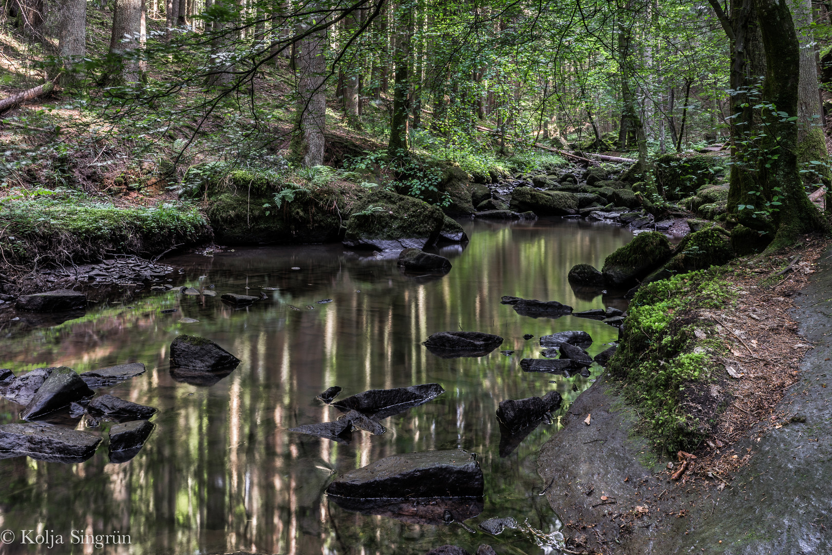 Spiegelwald