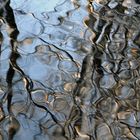 Spiegelwasser in München