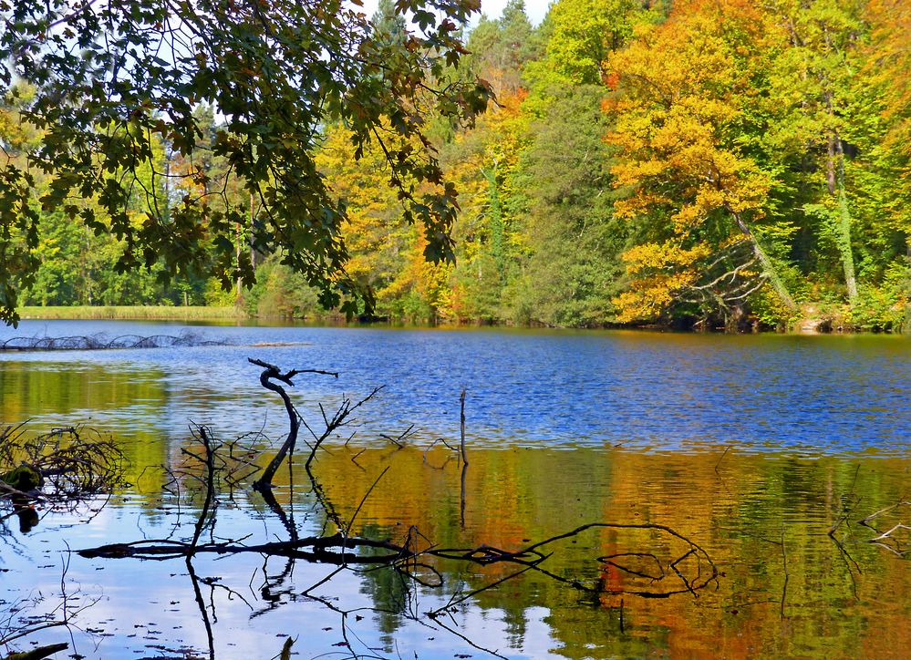 Spiegelweiher