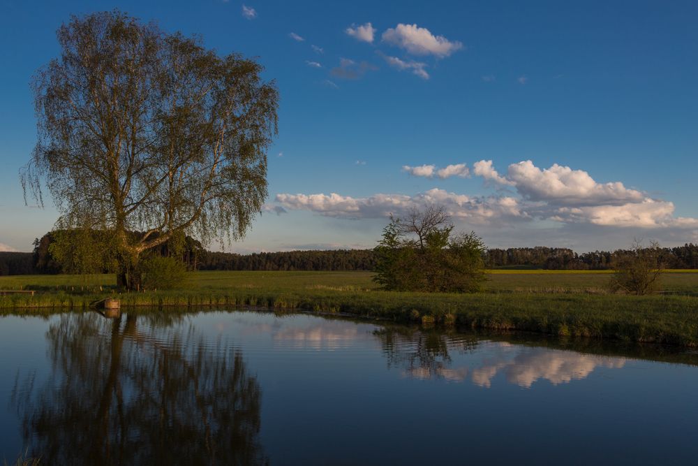 Spiegelweiher