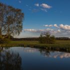 Spiegelweiher