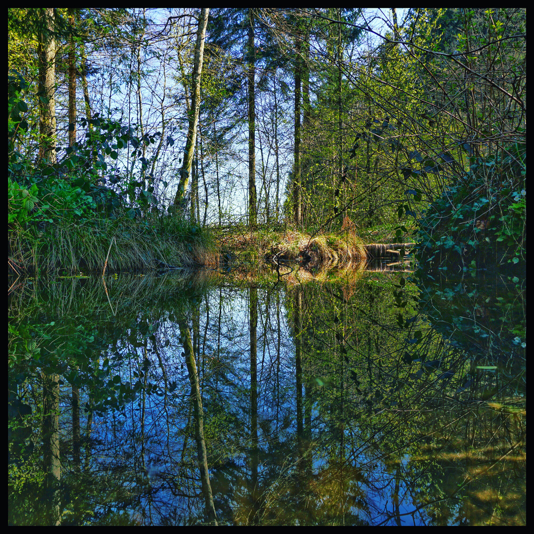 Spiegelweiher