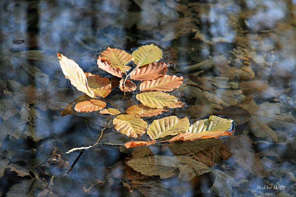 Spiegelwelt 2