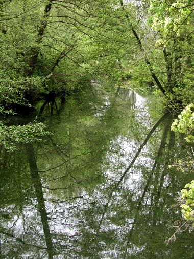 Spiegelwelt