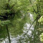 Spiegelwelt