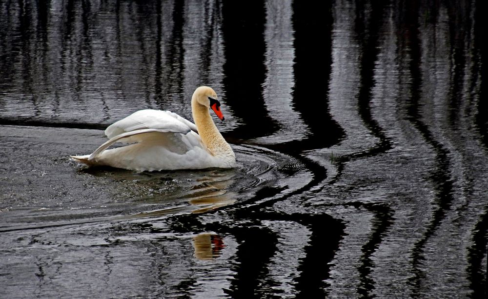 Spiegelwelt