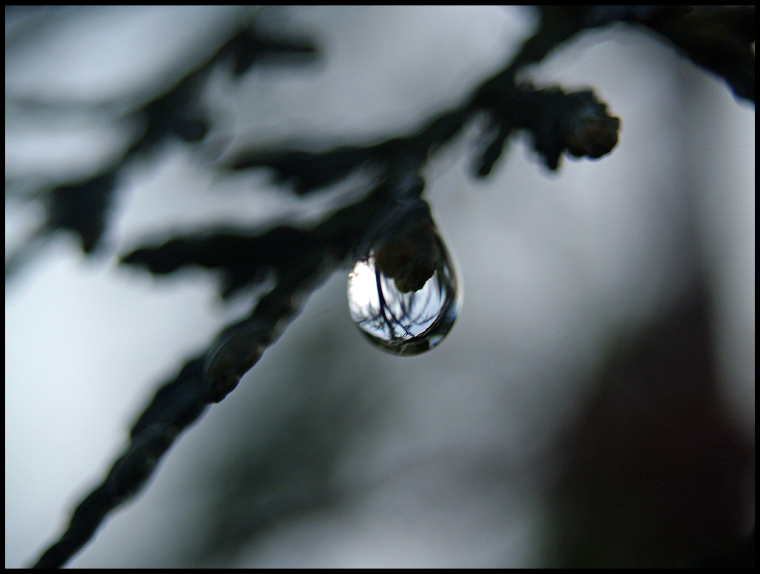 spiegelwelt.