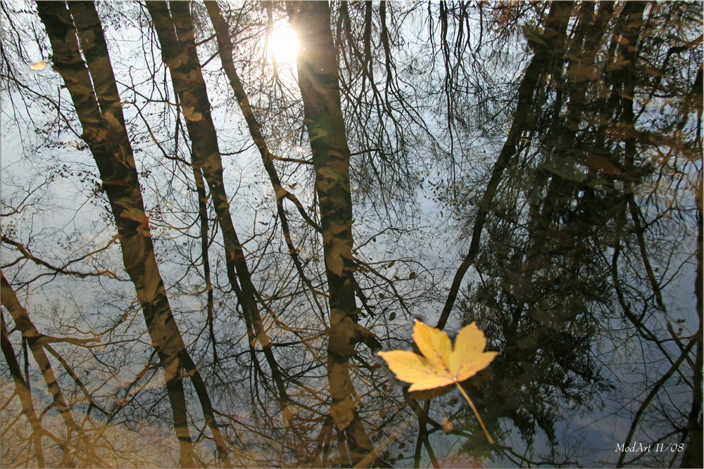 Spiegelwelt