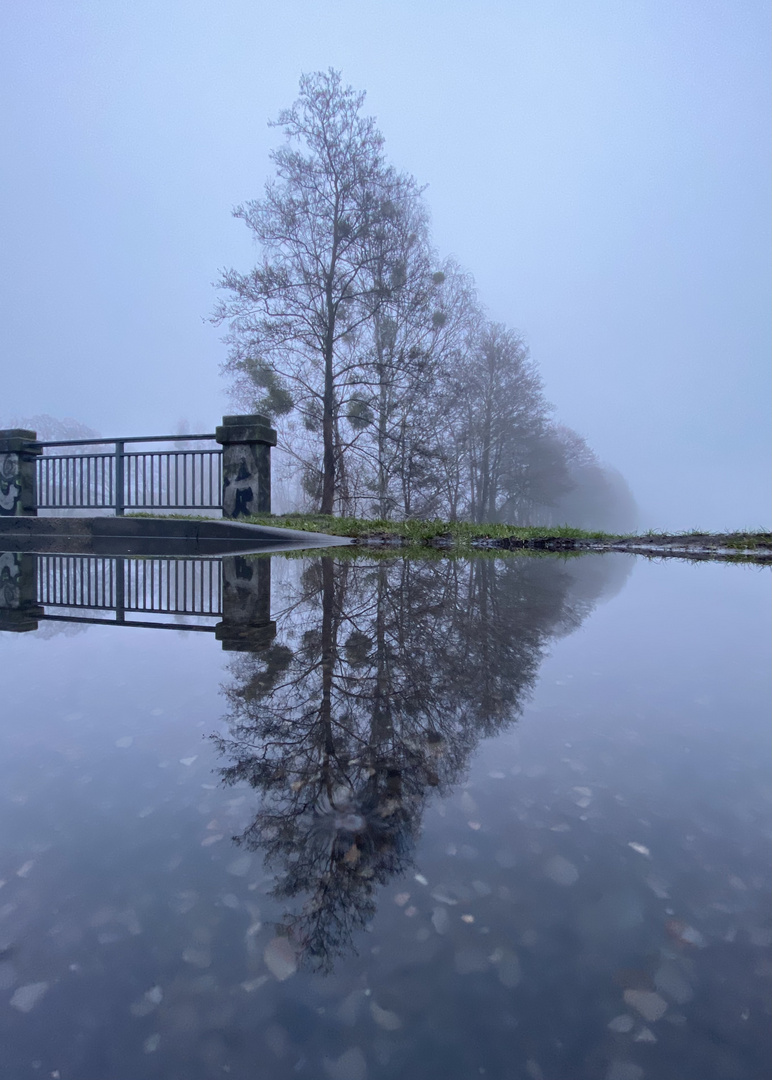 Spiegelwelt im Nebel