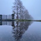 Spiegelwelt im Nebel