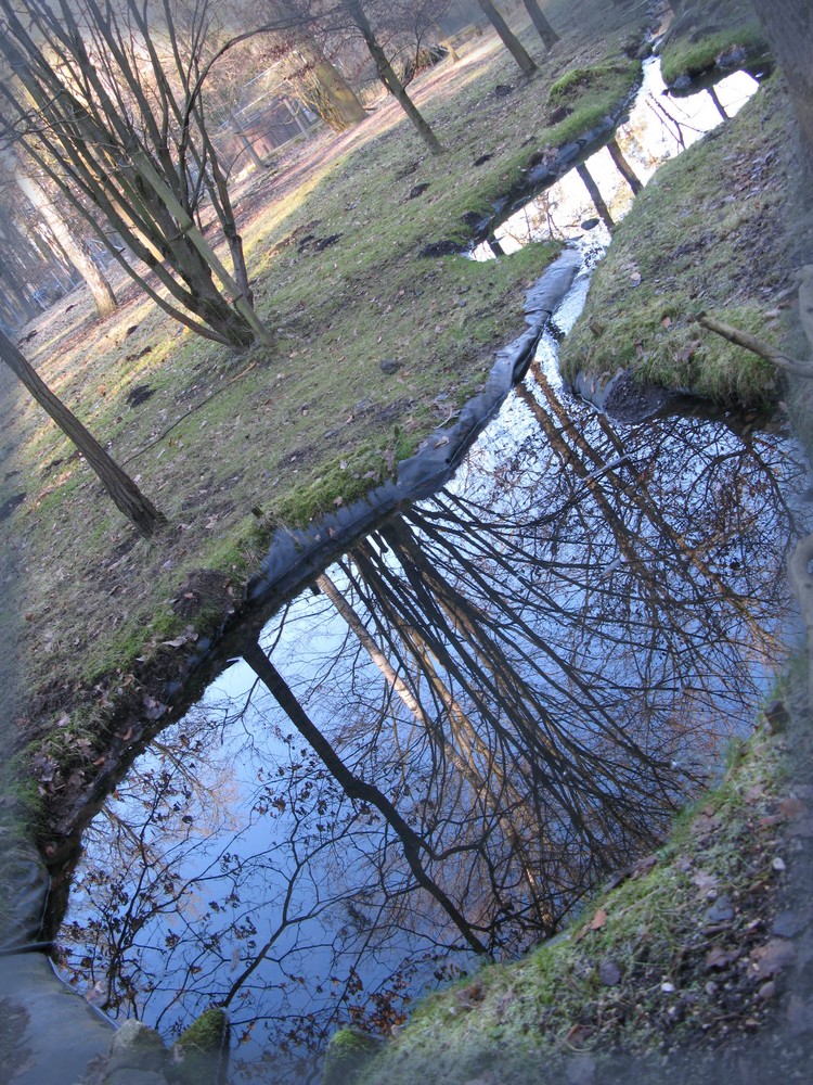 Spiegelwelten