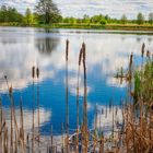 Spiegelwolken