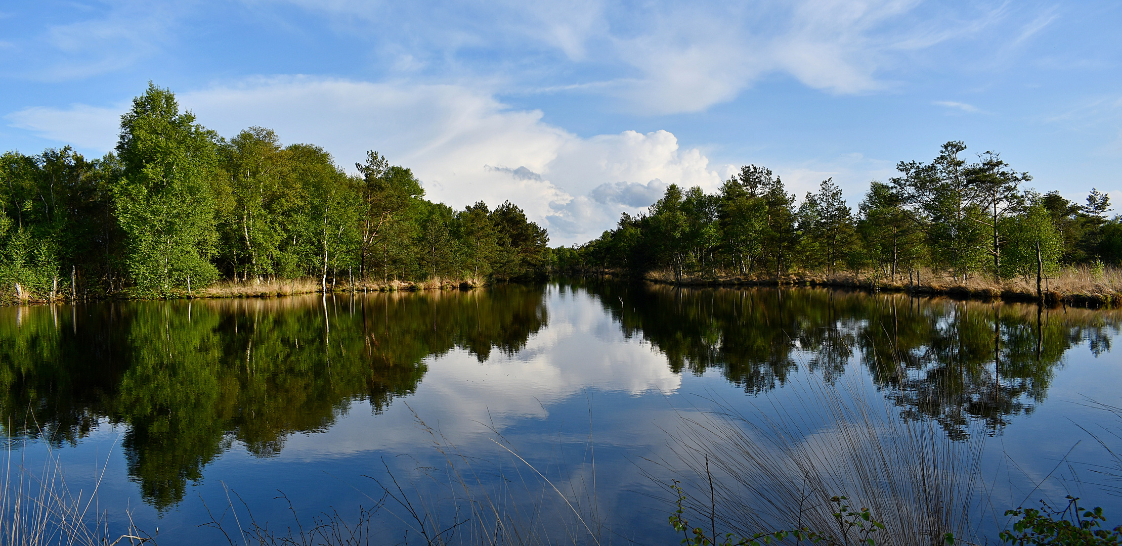 Spiegelzeit im hohen Moor