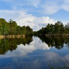 Spiegelzeit im hohen Moor