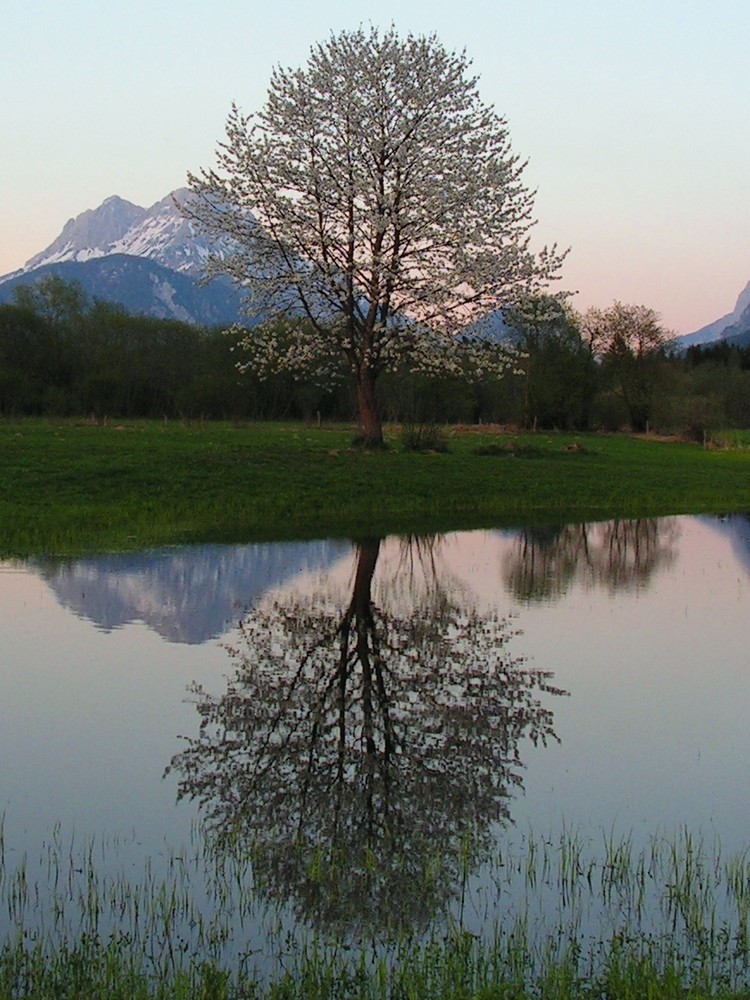 Spieglei, Spieglein im Feld, wer ist der Schönste auf der Welt