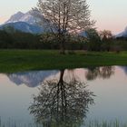 Spieglei, Spieglein im Feld, wer ist der Schönste auf der Welt