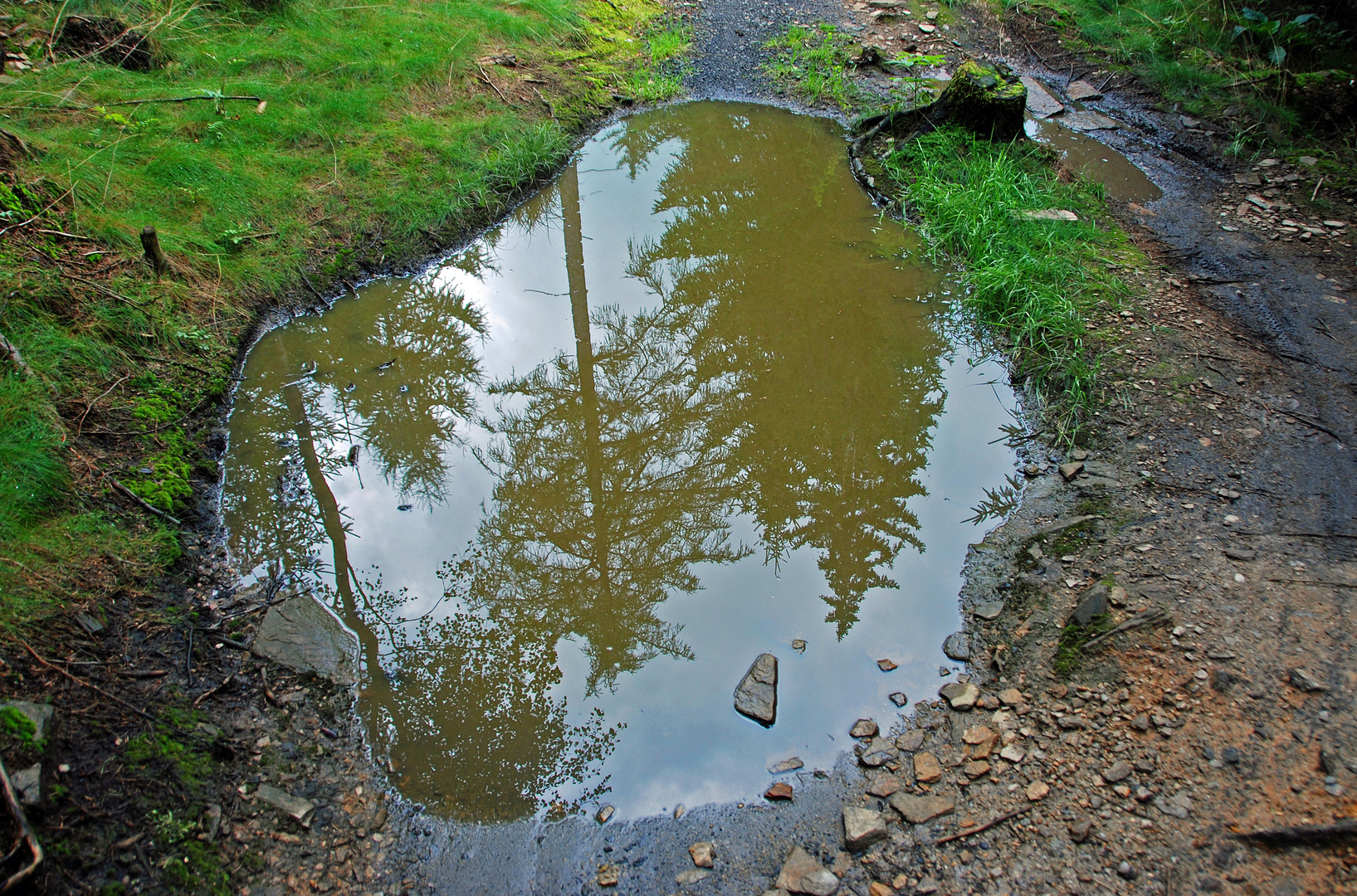 Spieglein auf dem Weg