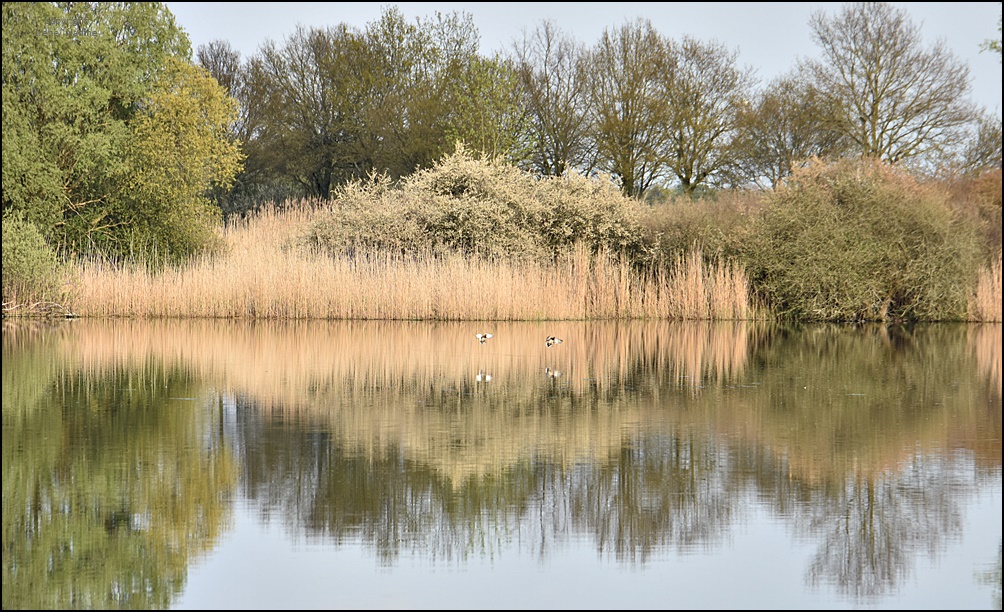 Spieglein, Spiegelein