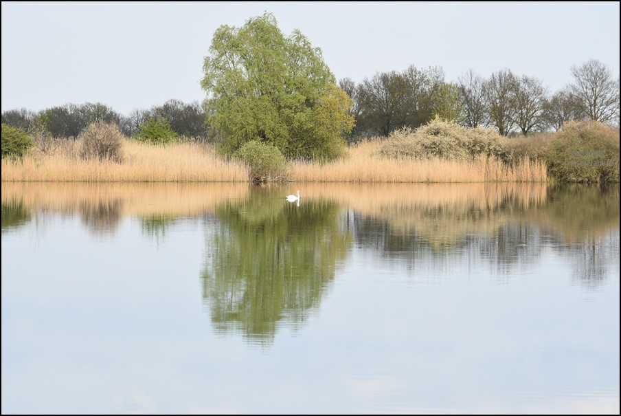 Spieglein, Spiegelein