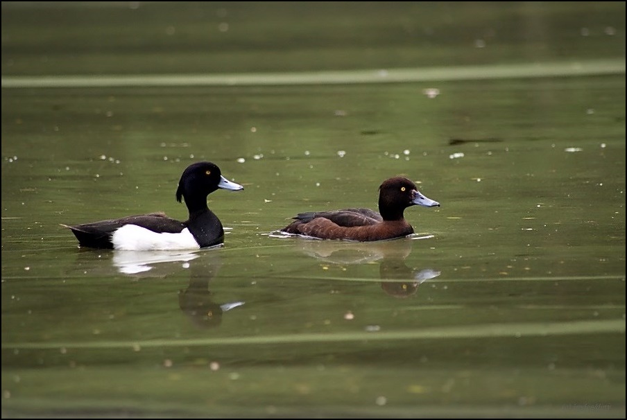 Spieglein; Spieglein...