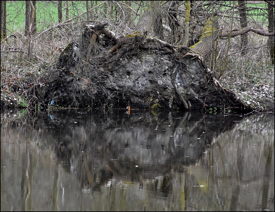 Spieglein; Spieglein...